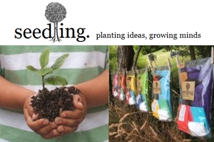 Seedling