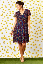 that bird label Finch Cap Sleeve Dress Fireworks